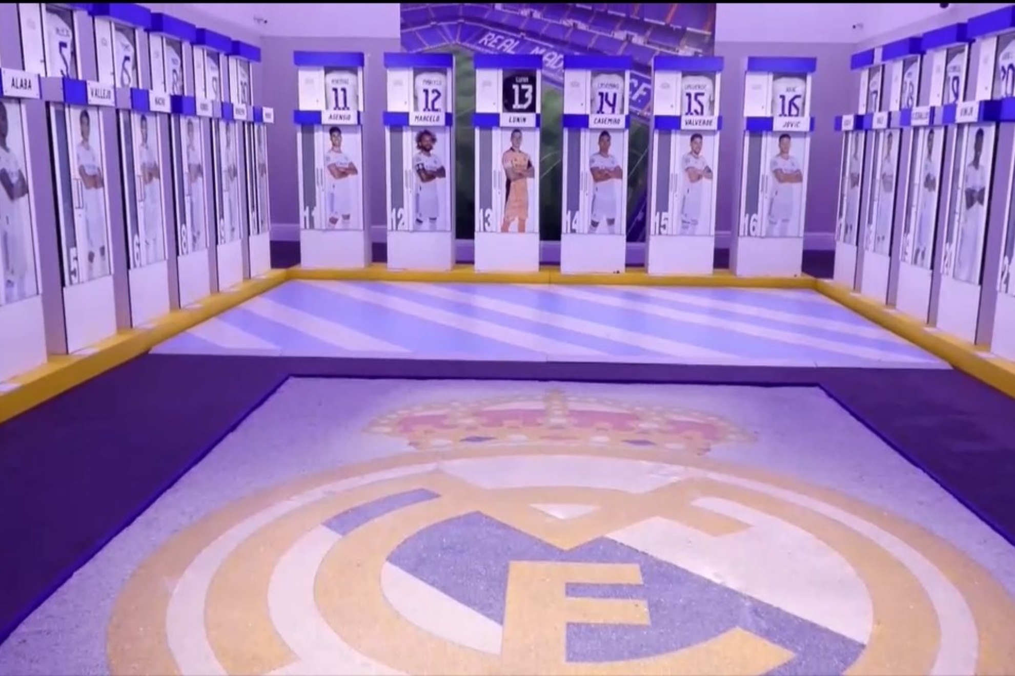 们看到了一 们看到了一