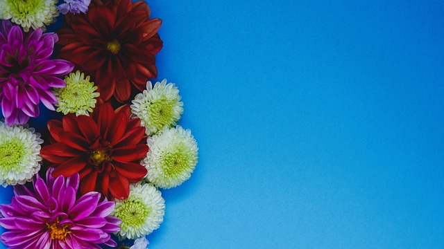 也为未来的 也为未来的