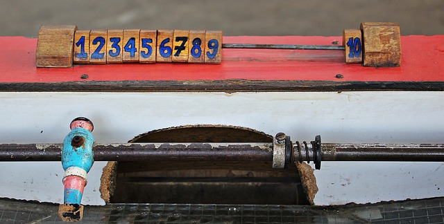 轻的球员 轻的球员