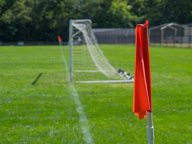 不如说他选 不如说他选