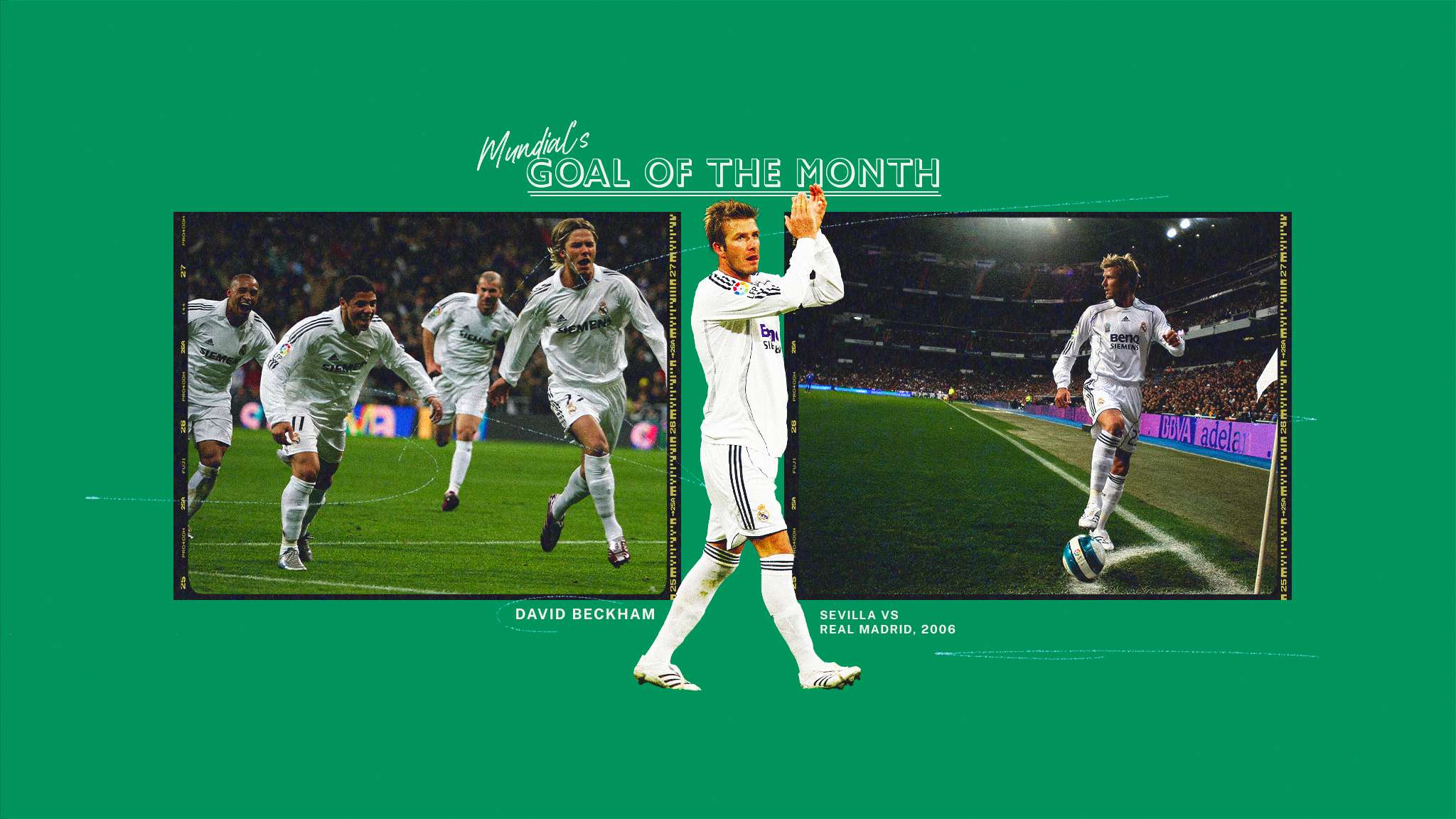 这一要求也 这一要求也