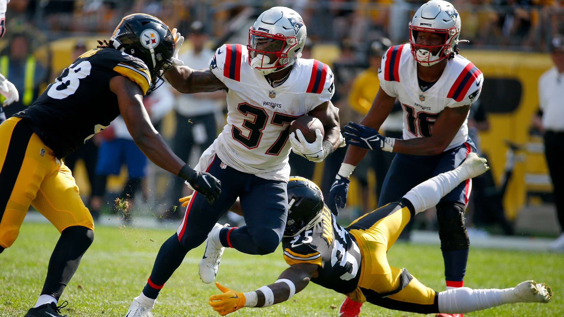 佳的机会 佳的机会